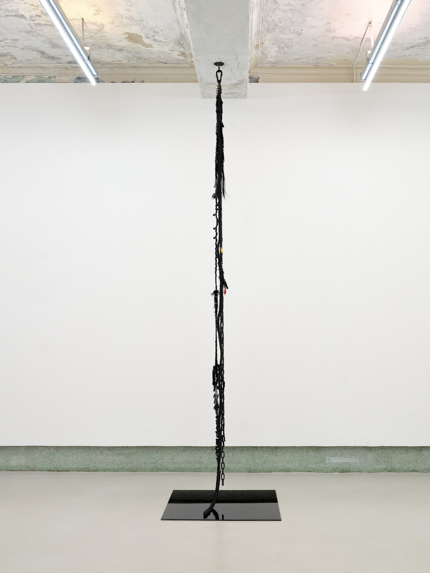 Installation view 5 of 5