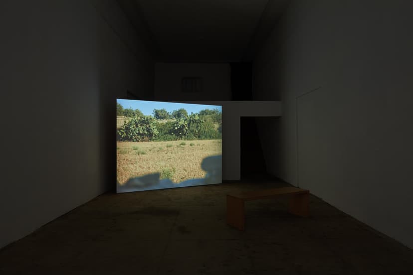 Installation view, Jeffrey Stuker: L-Għajn, Ehrlich Steinberg, Los Angeles, 2026