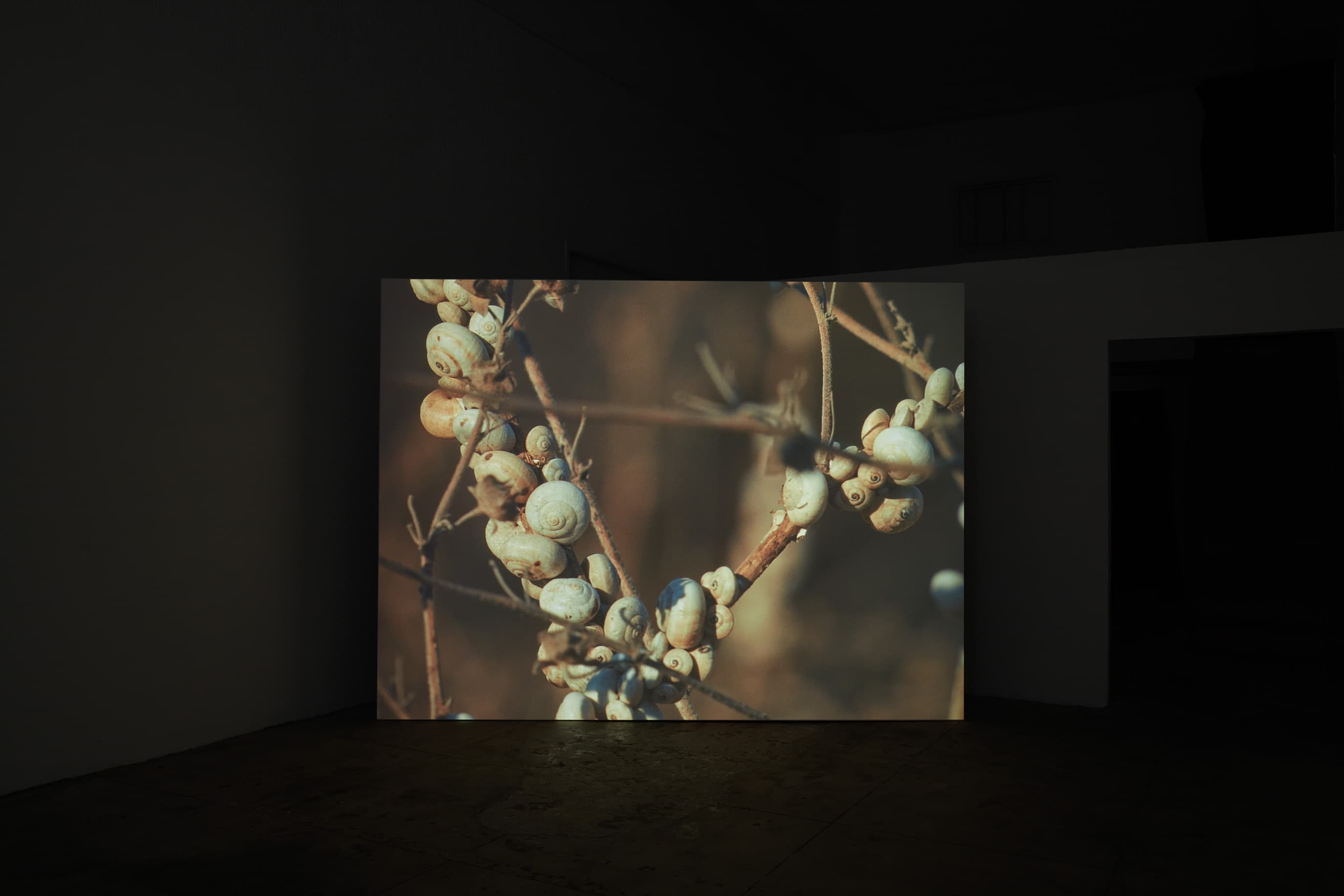 Installation view, Jeffrey Stuker: L-Għajn, Ehrlich Steinberg, Los Angeles, 2026
