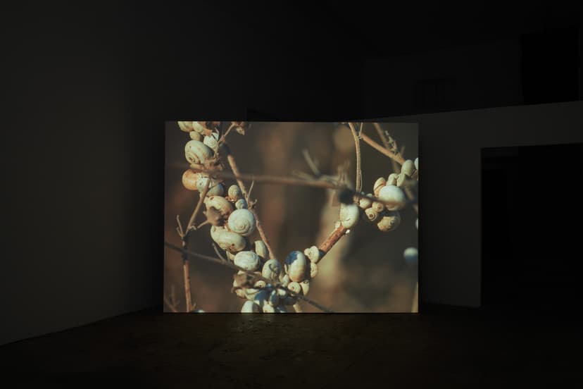 Installation view, Jeffrey Stuker: L-Għajn, Ehrlich Steinberg, Los Angeles, 2026