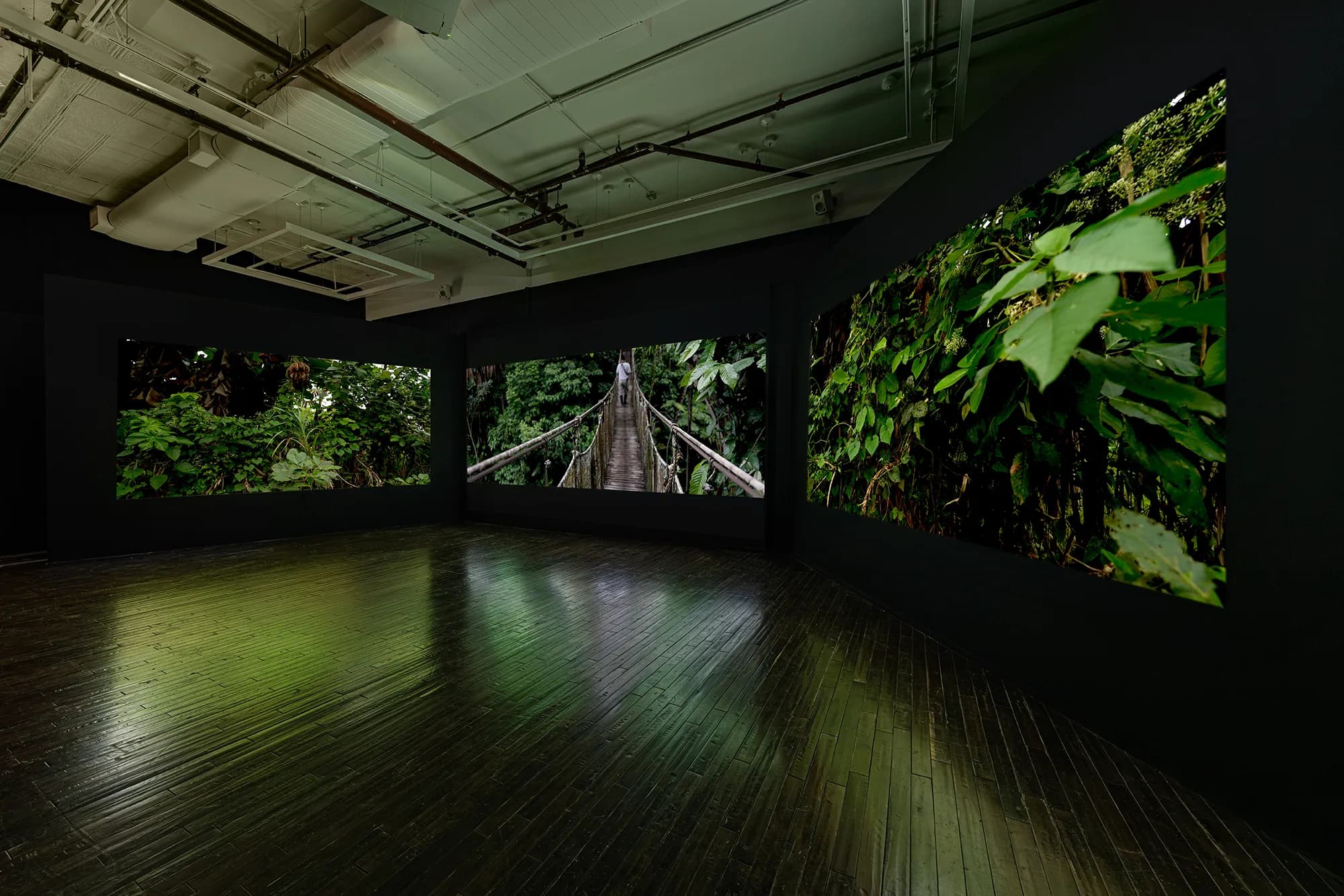Installation view