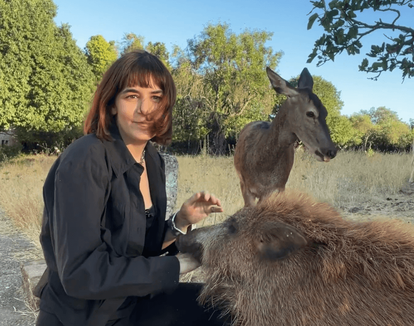 Jillian Mayer, How to Disappear, 2026, video still