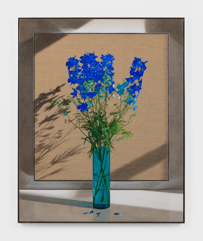 fluorochiaroscuro