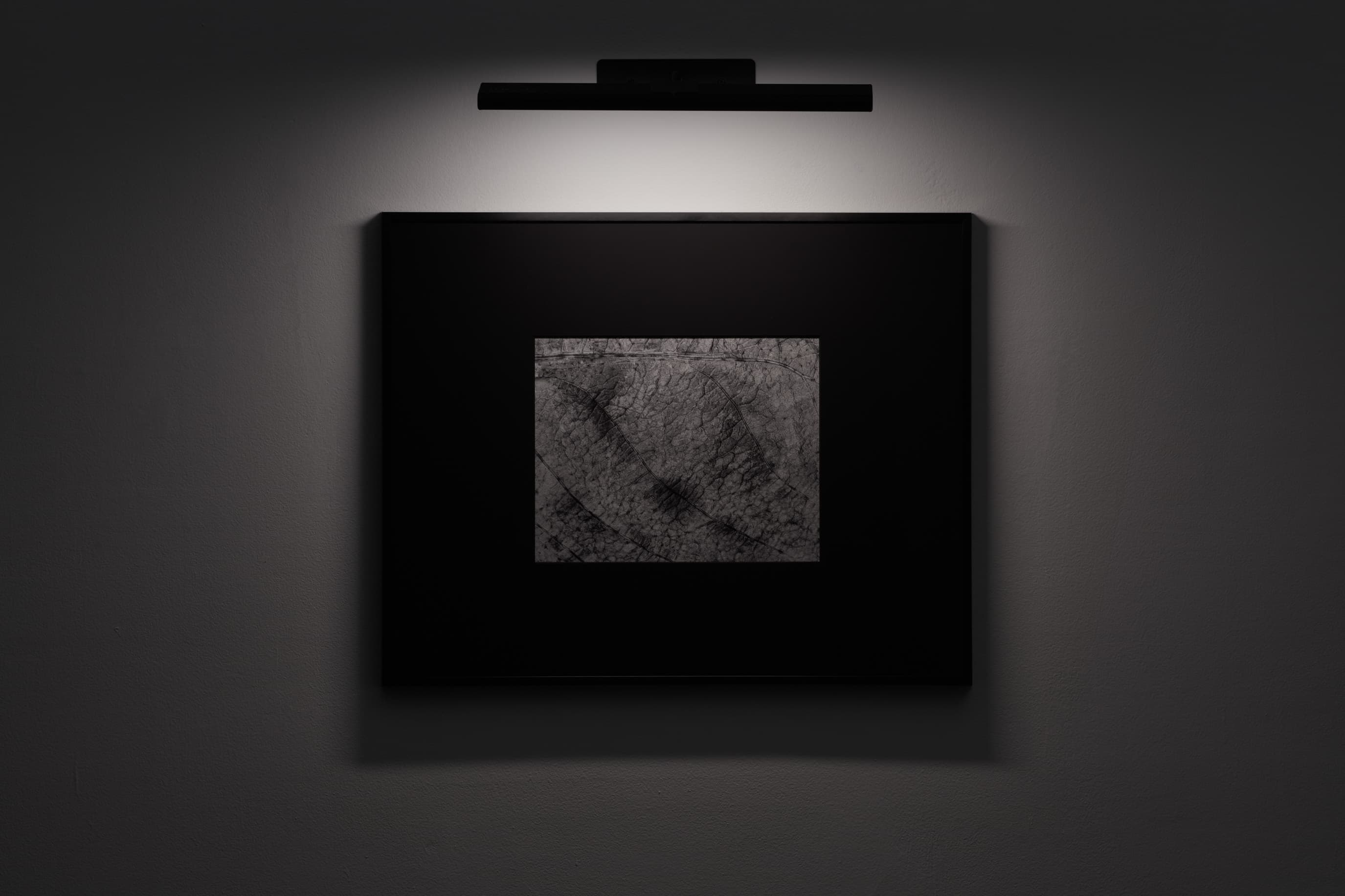 Installation view, Jeffrey Stuker: L-Għajn, Ehrlich Steinberg, Los Angeles, 2026
