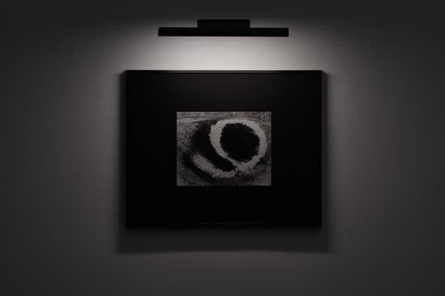 Installation view, Jeffrey Stuker: L-Għajn, Ehrlich Steinberg, Los Angeles, 2026
