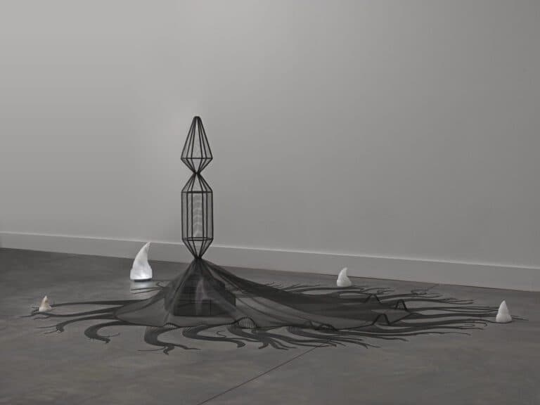 Focus Gallery: Afruz Amighi: Sounding Shell