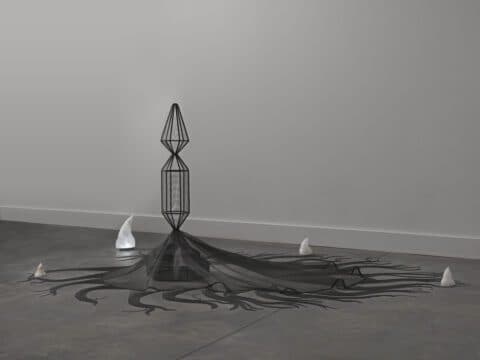 Focus Gallery: Afruz Amighi: Sounding Shell