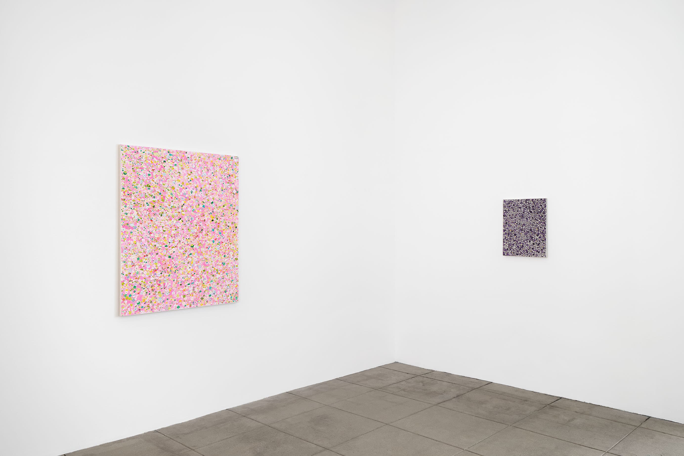 Installation view