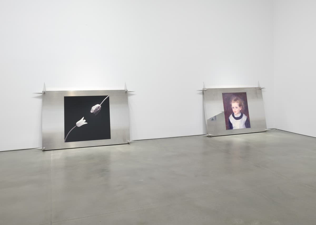 Installation view 7 of 10