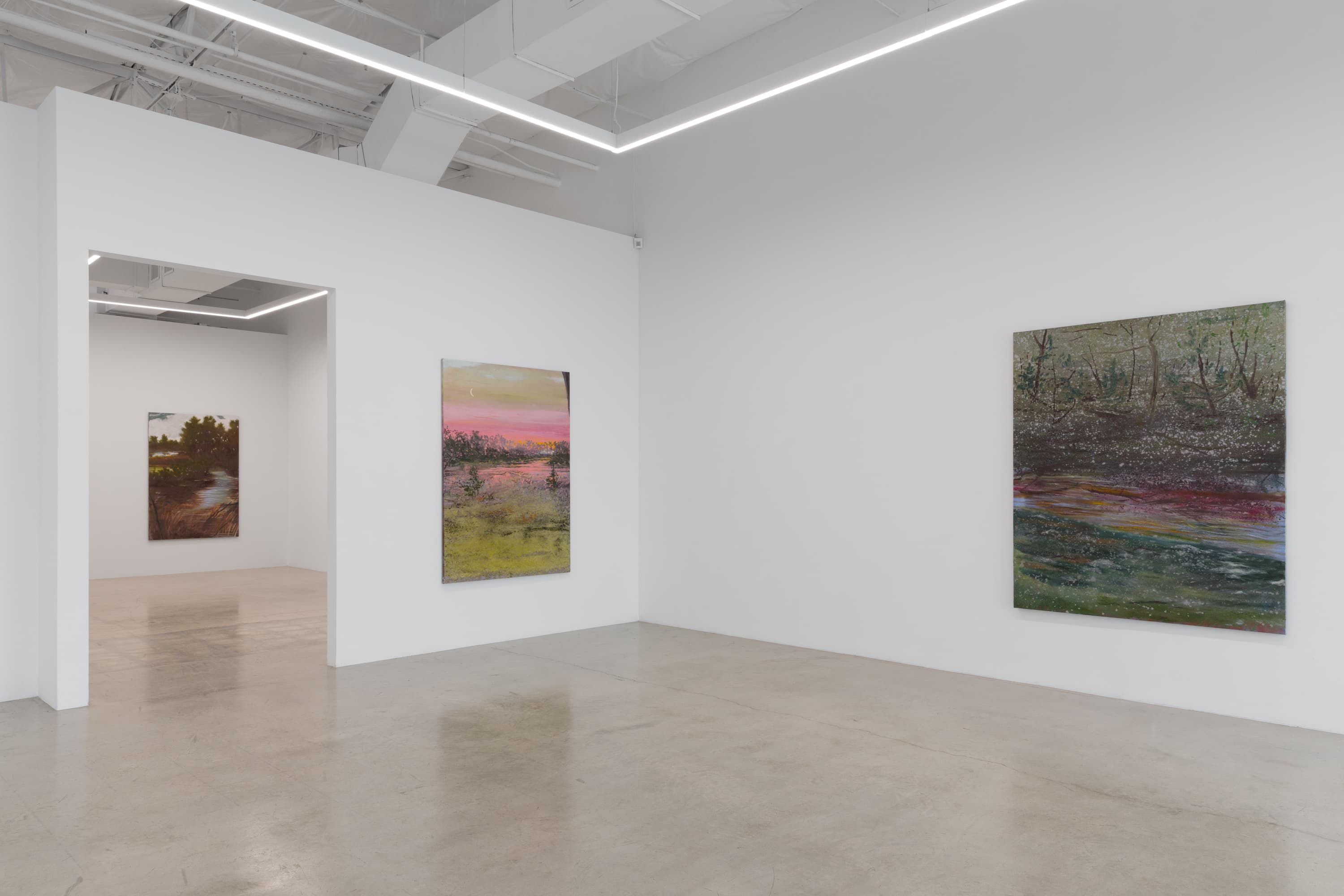 Installation view 7 of 17