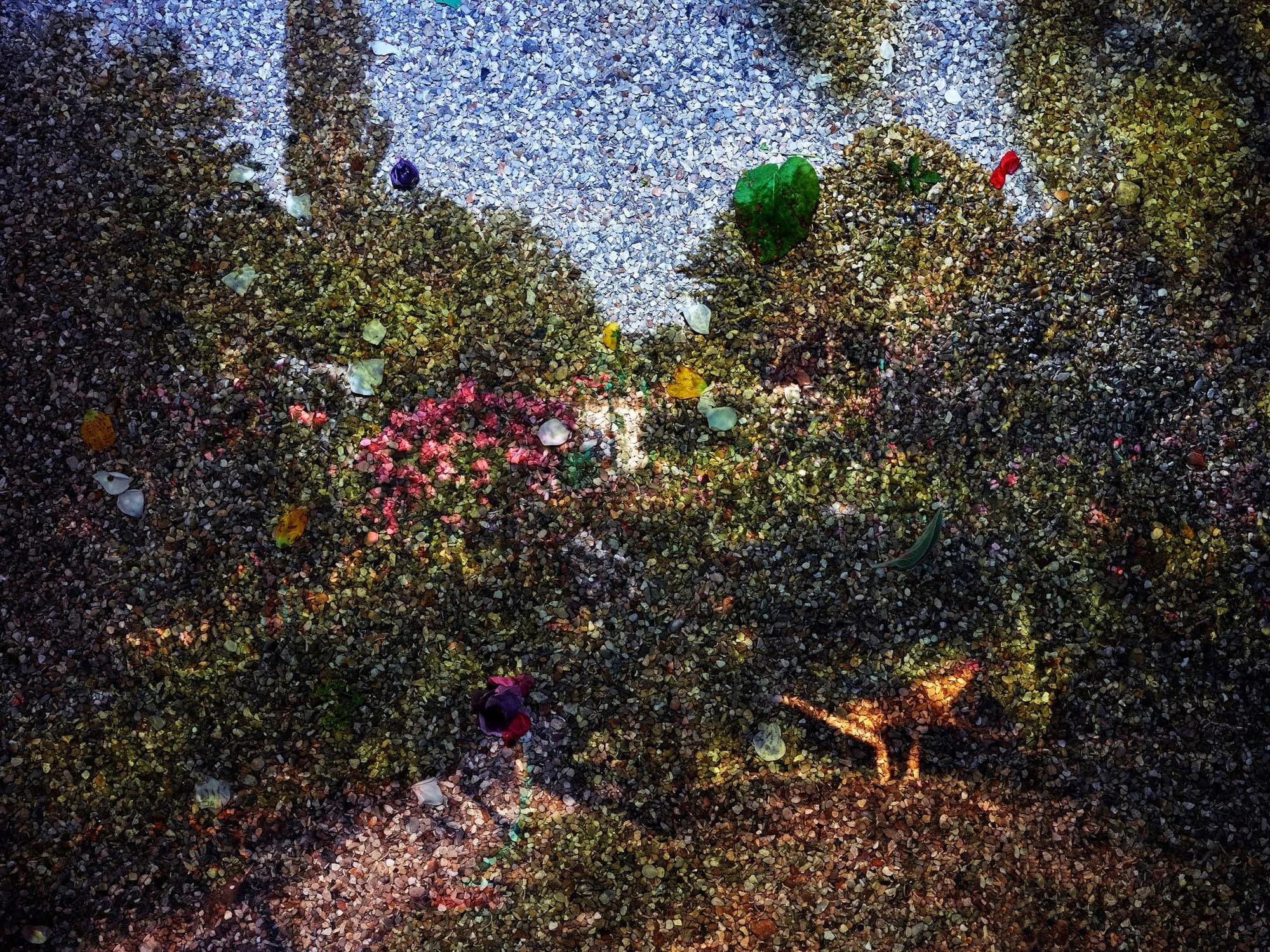 Walking Objects