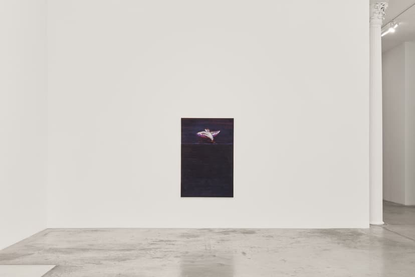 Installation view, Christine Safa: Noces, Bortolami, New York, 2026