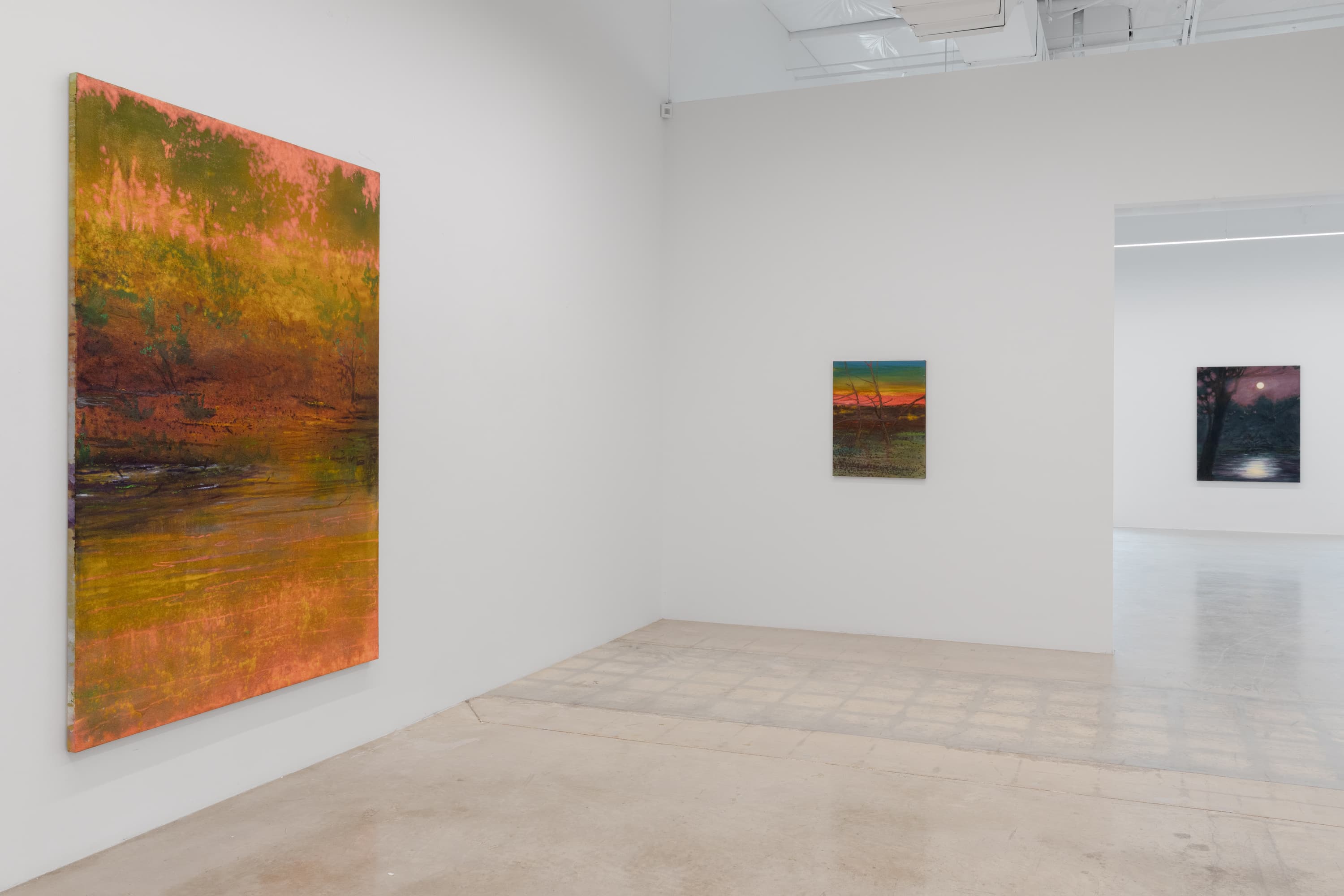 Installation view 14 of 17