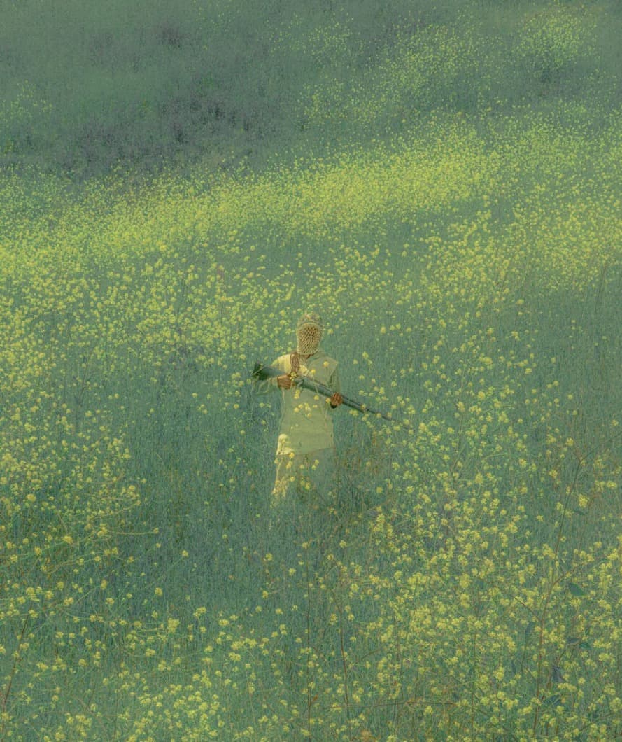 The Pulse of Grass and Screen