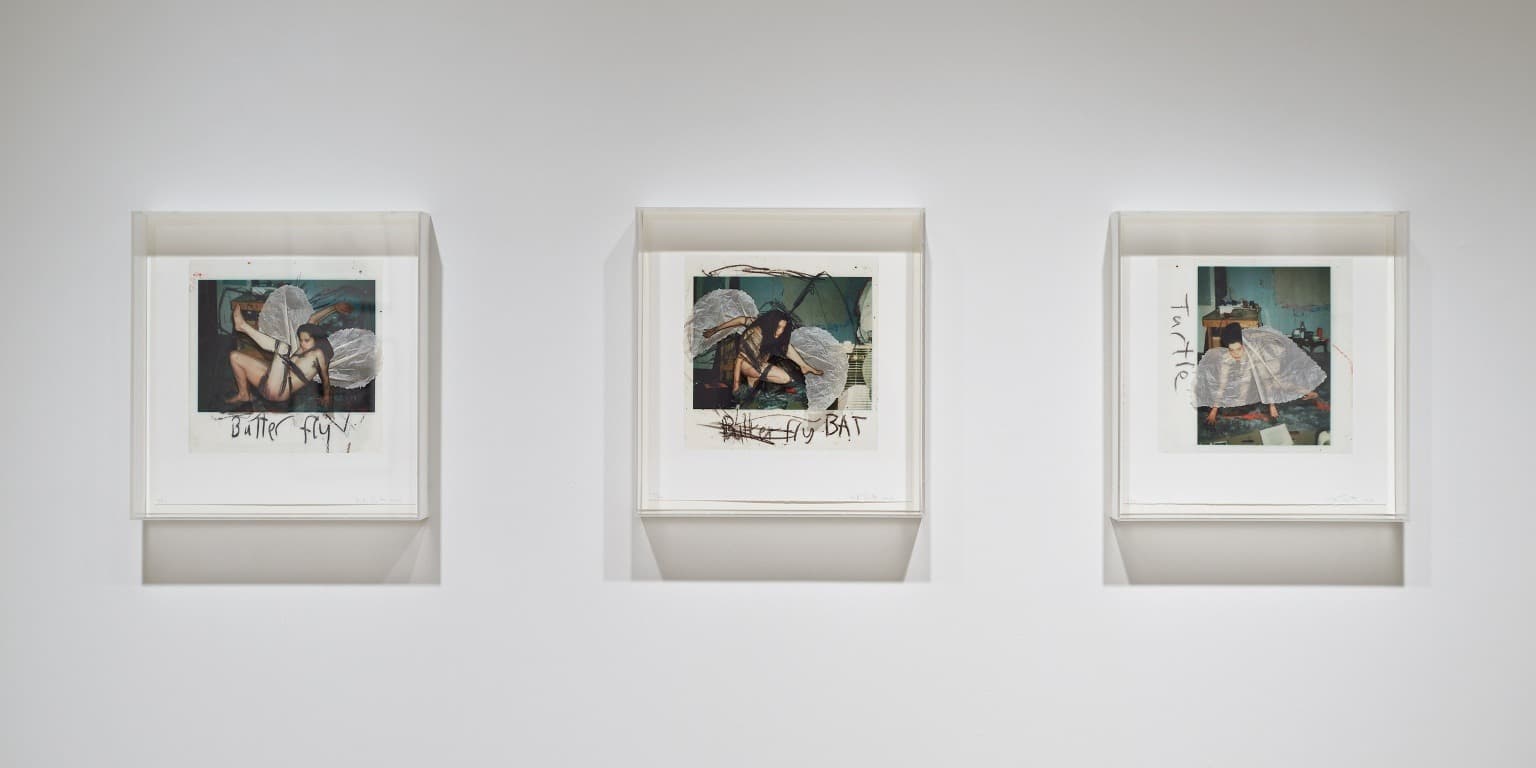 Installation view 1 of 6