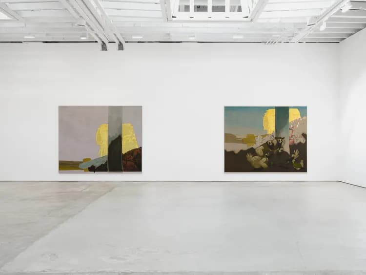 Installation view
