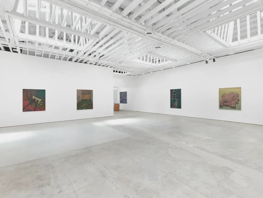 Installation view