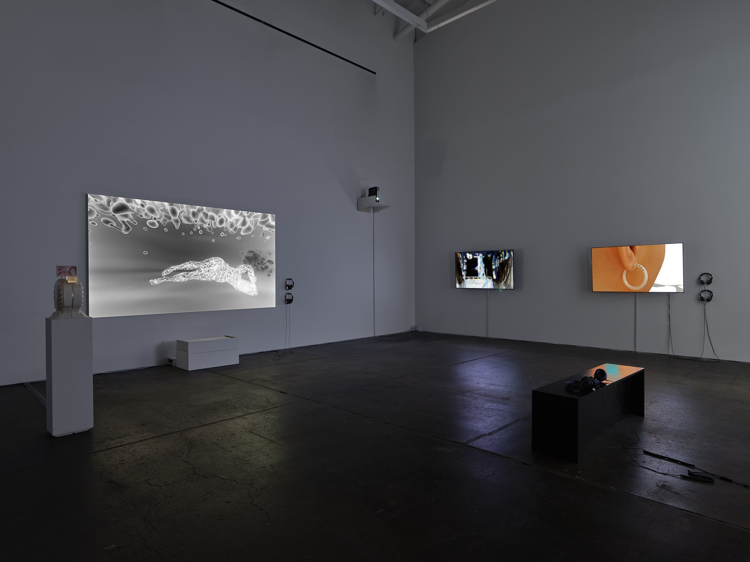 Installation view