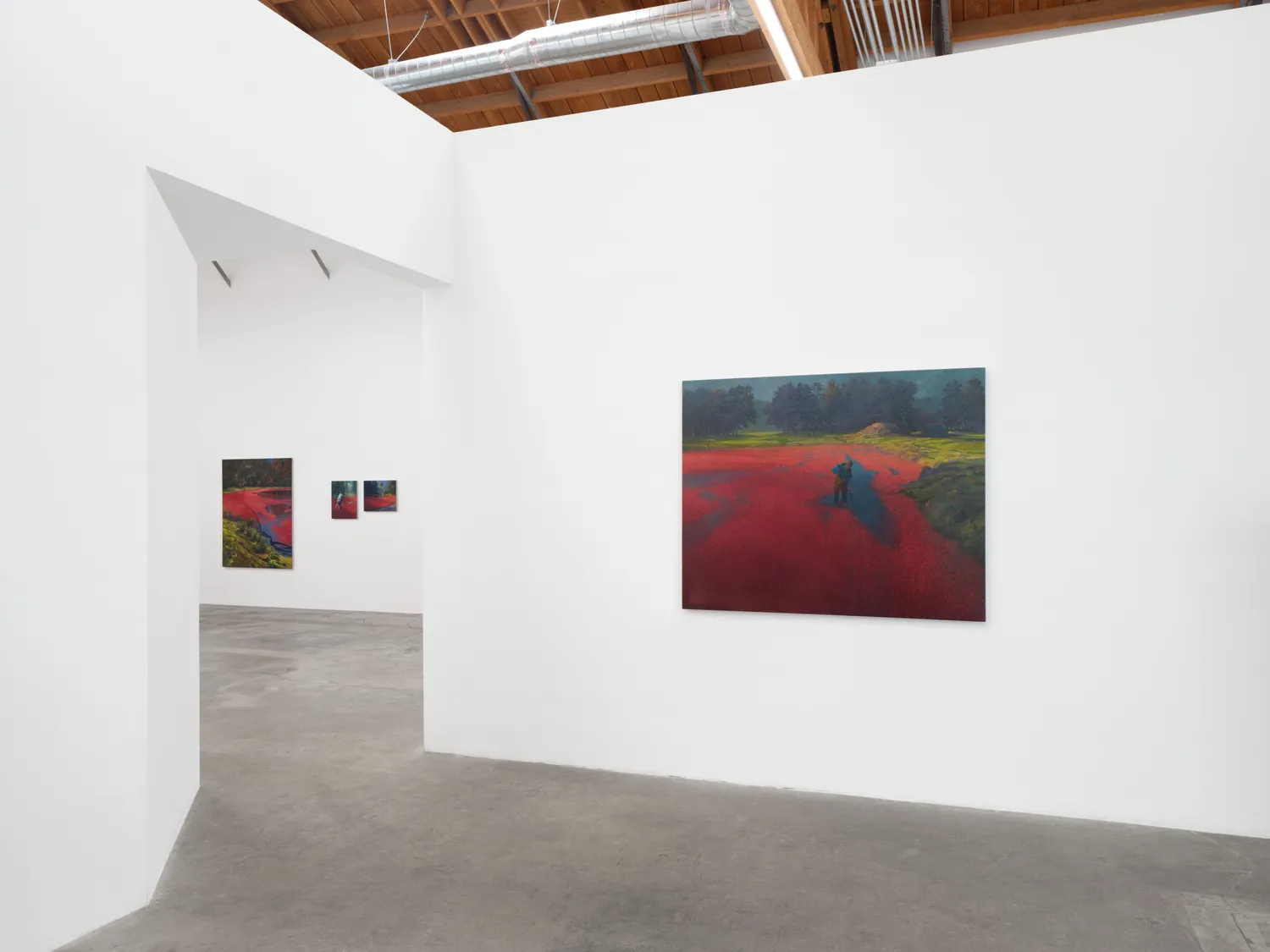 Installation view