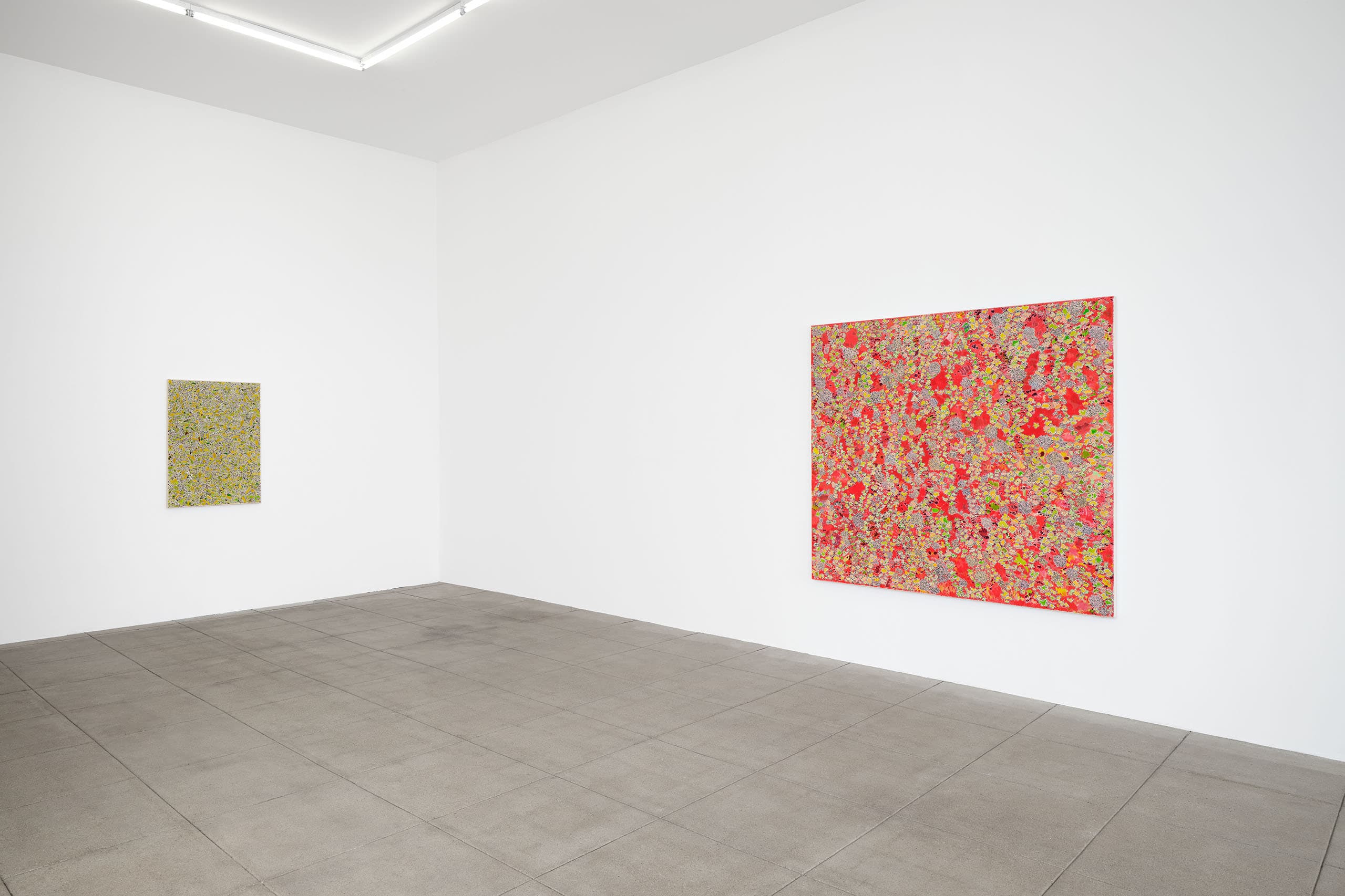 Installation view