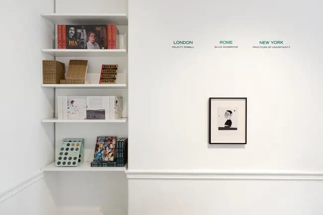 Installation view 6 of 8