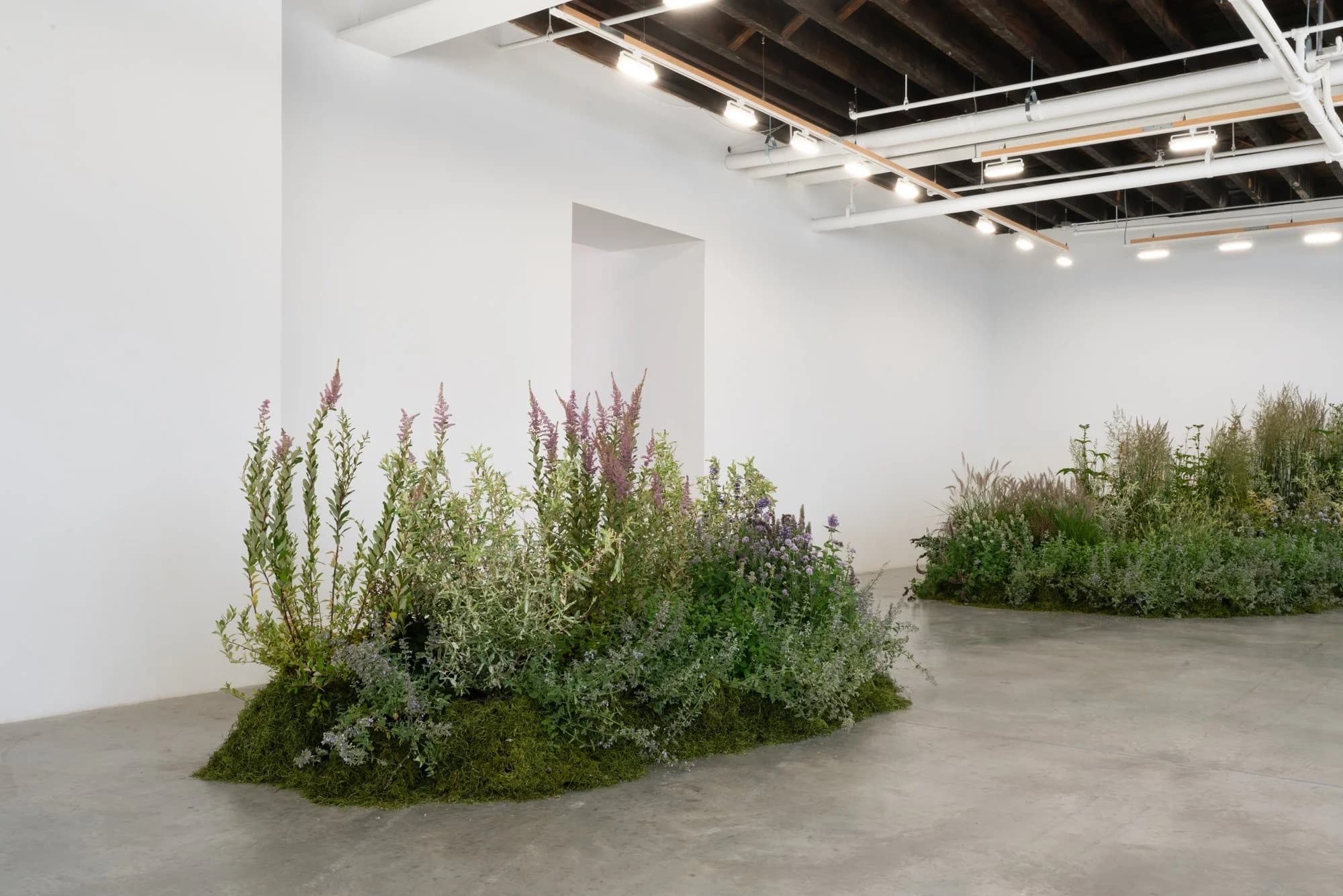 Installation view