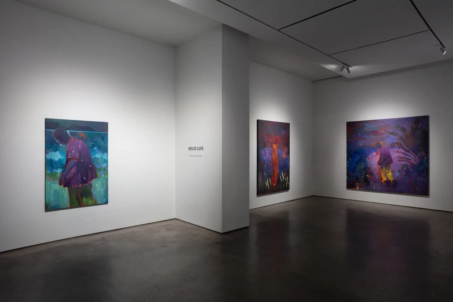 Installation view 3 of 5