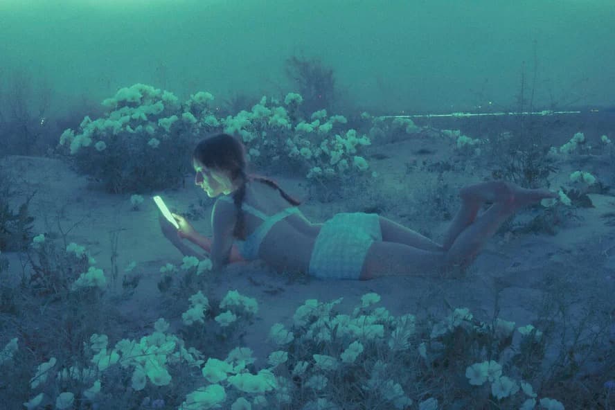 The Pulse of Grass and Screen