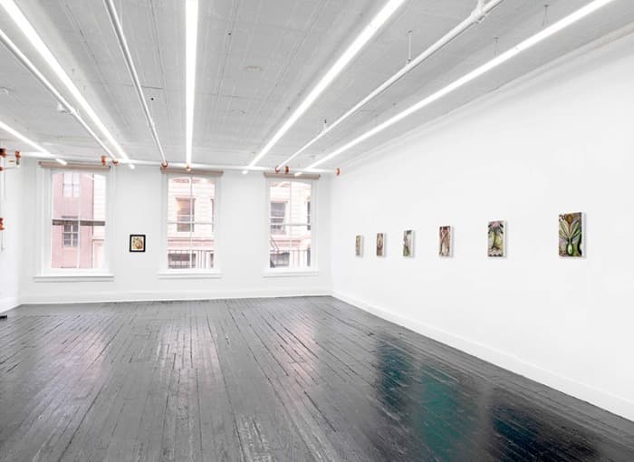 Installation view
