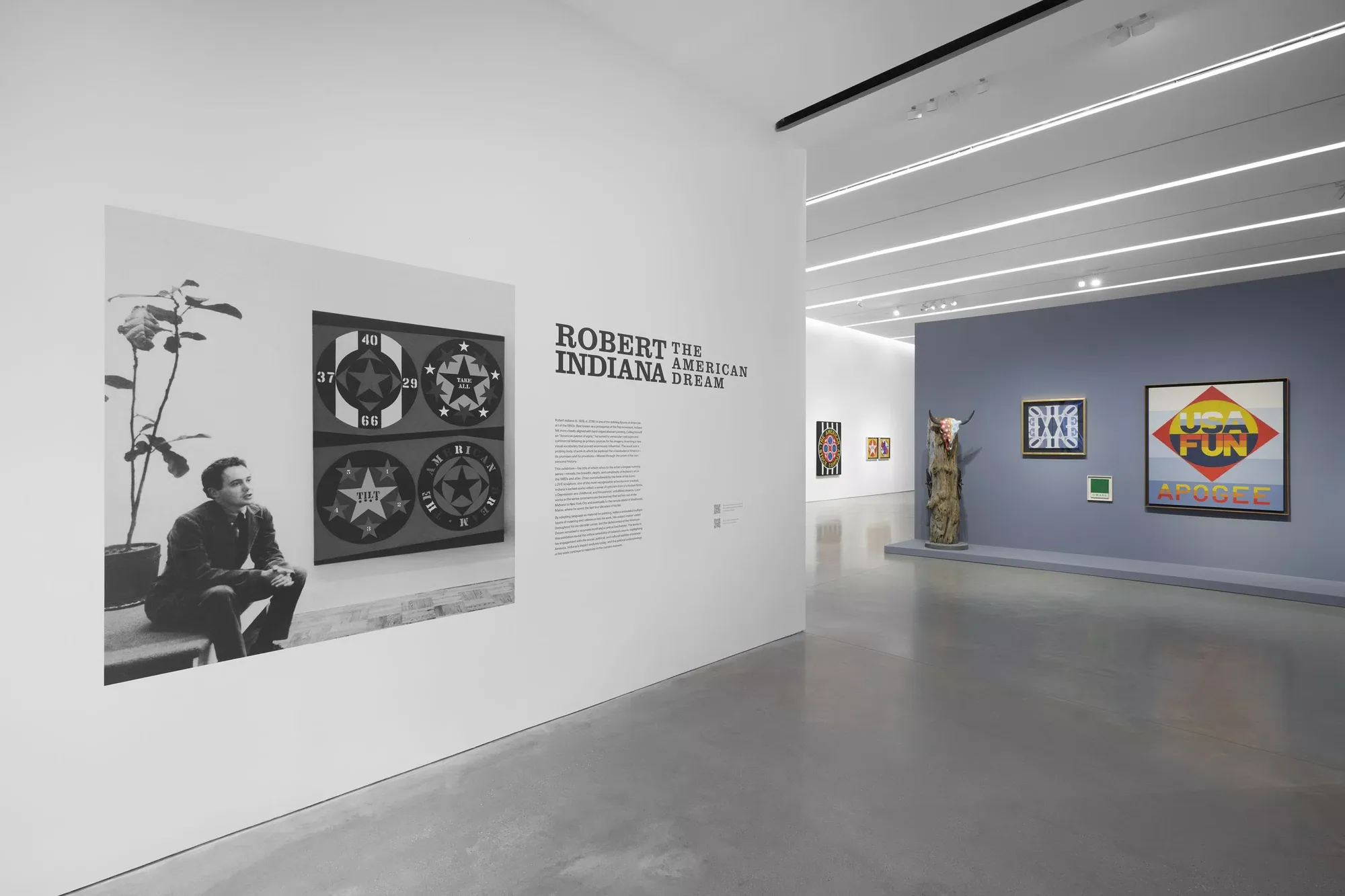 Installation view