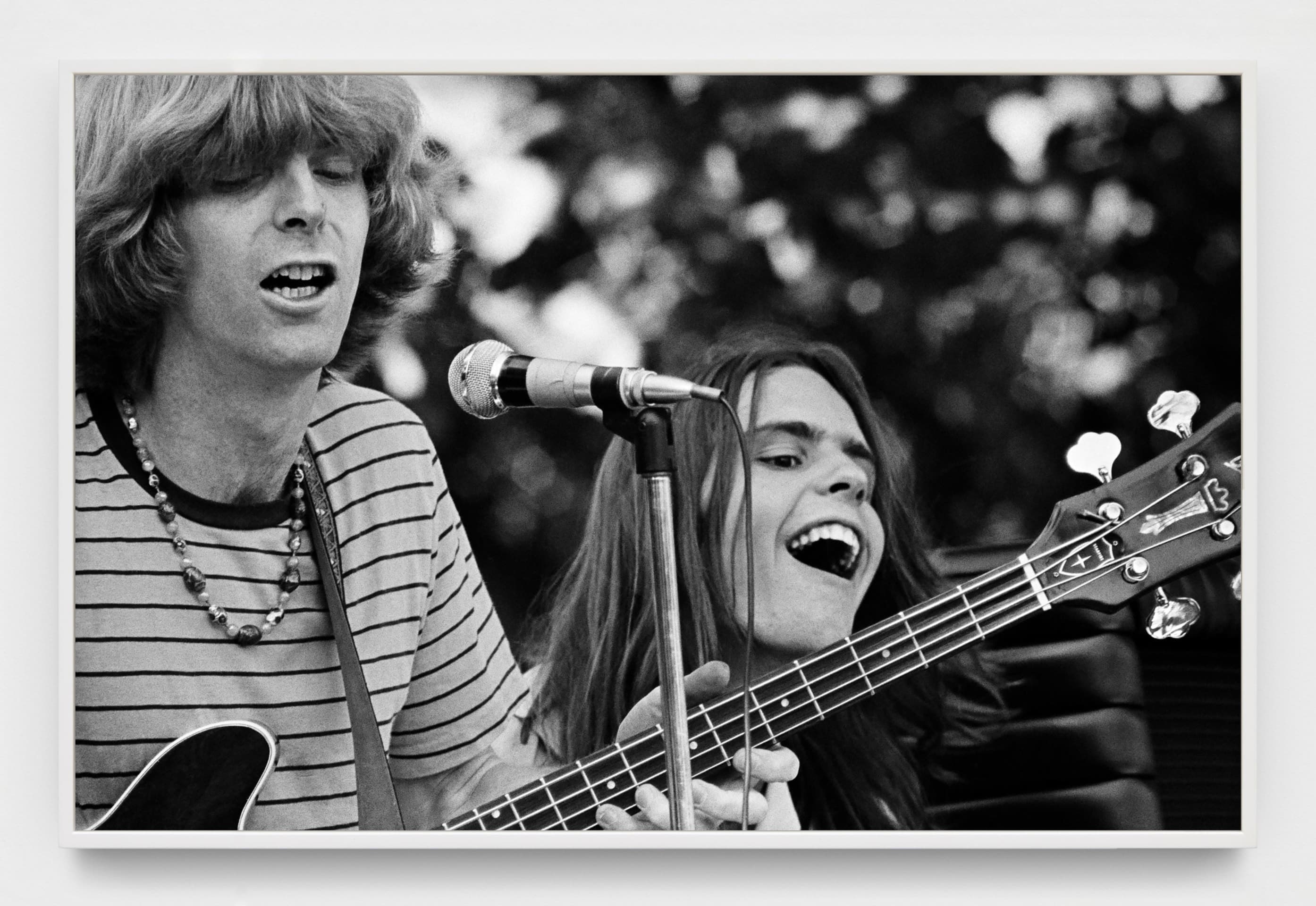An American Beauty: Grateful Dead 1965–1995