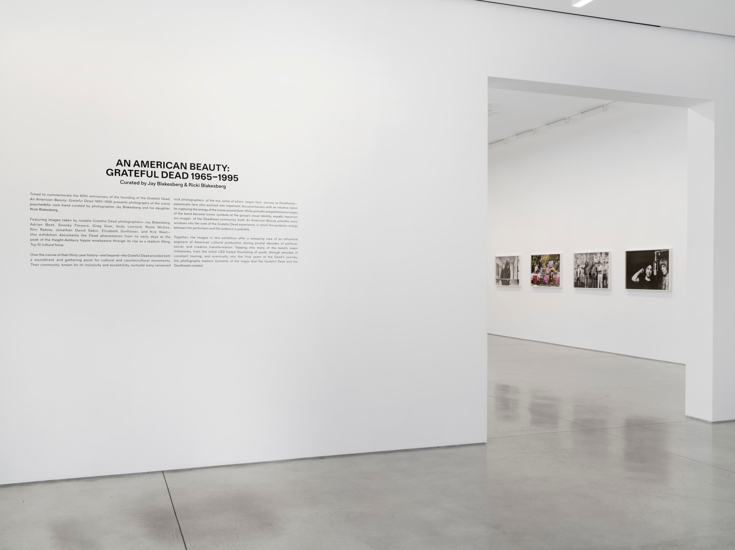 Installation view