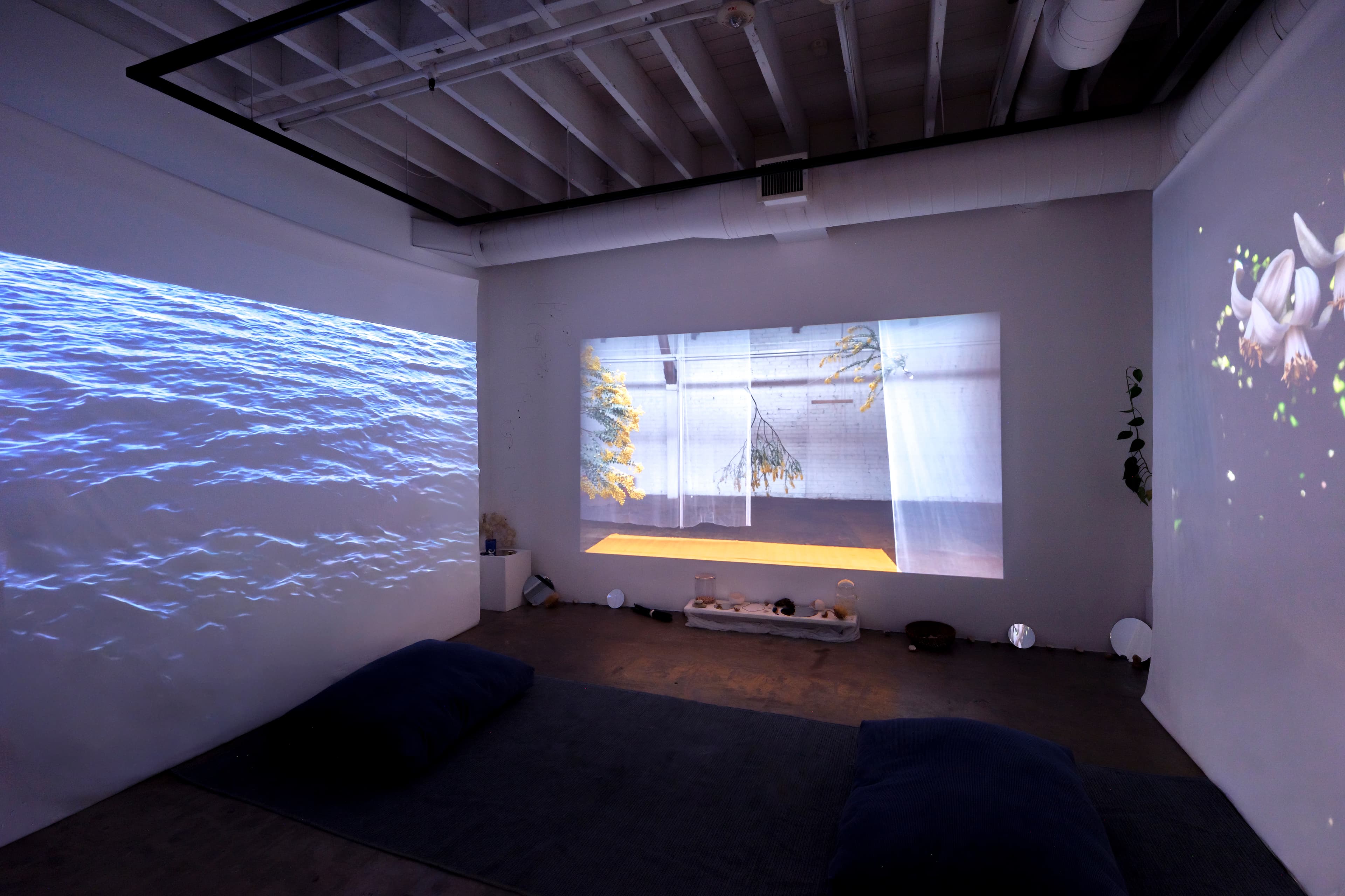 Installation view
