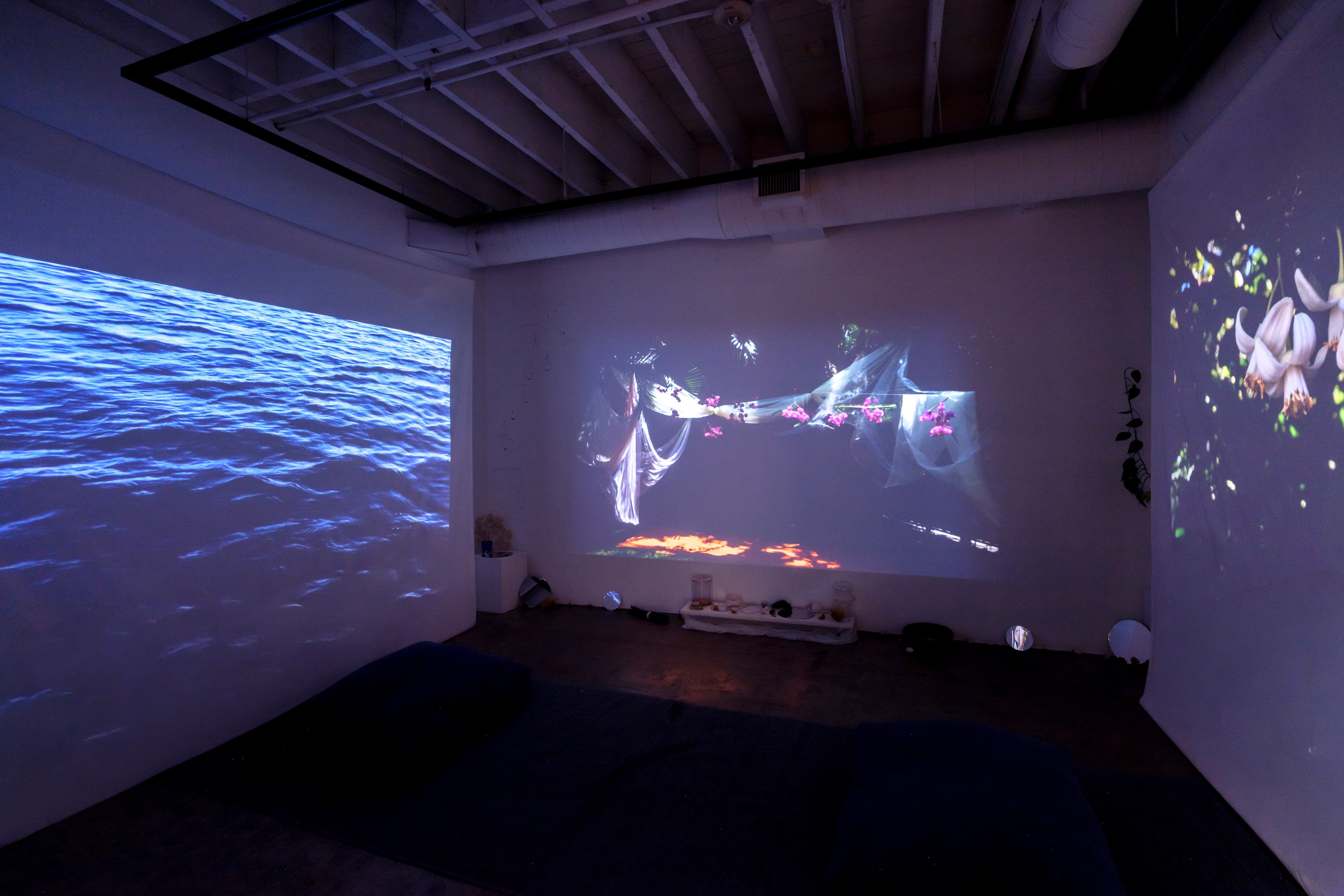 Installation view
