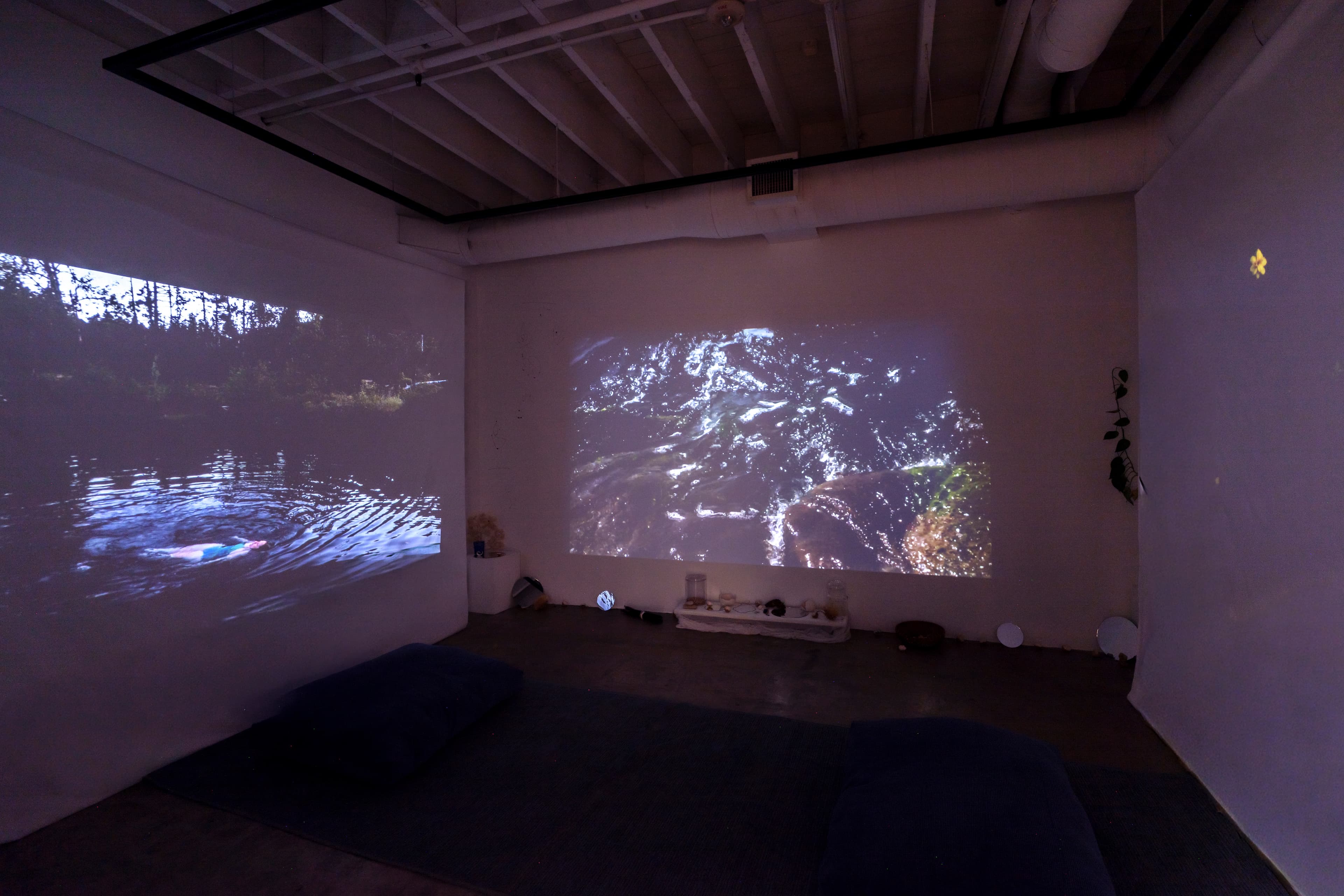 Installation view