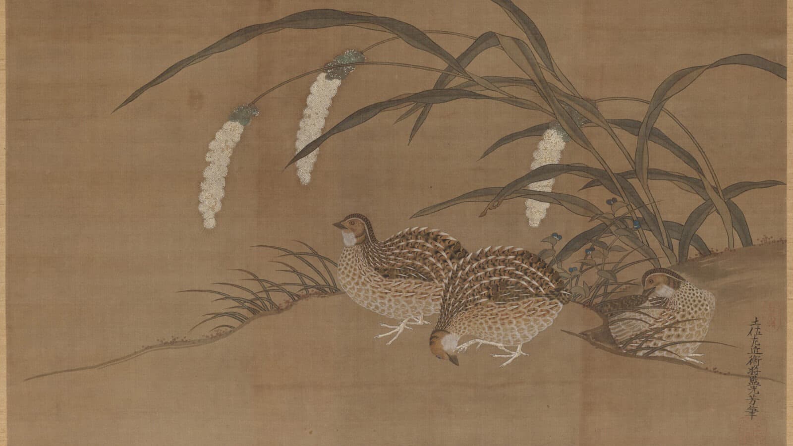 Beautiful, Bountiful, Boisterous Birds