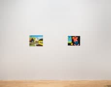 Installation view