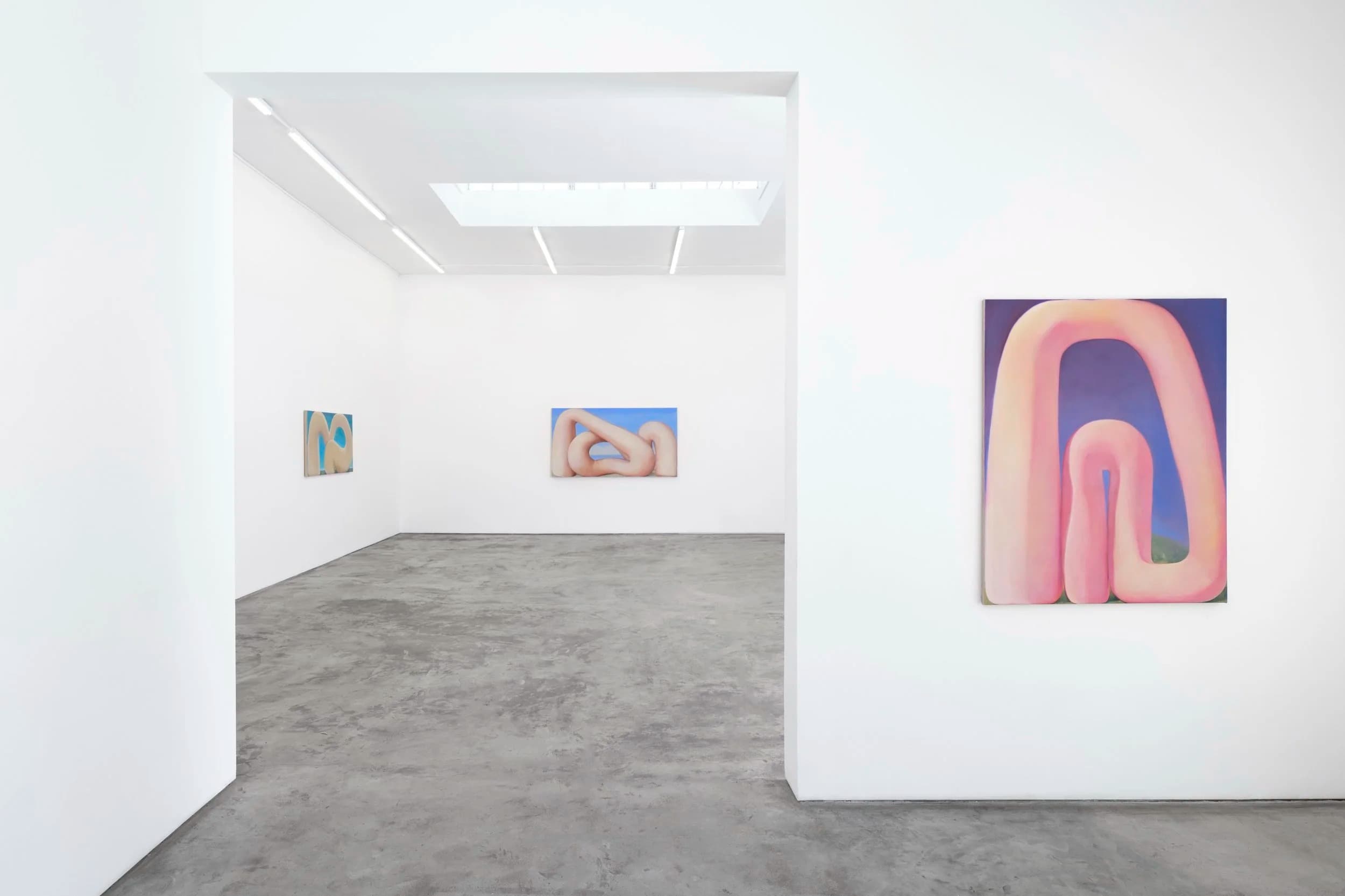 Installation view