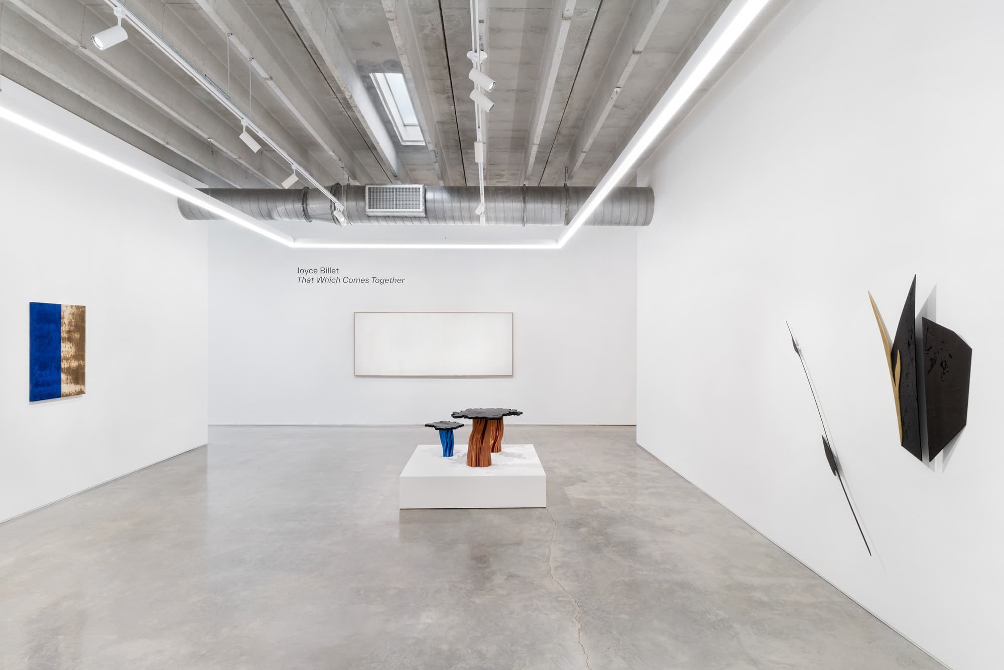 Installation view 4 of 4