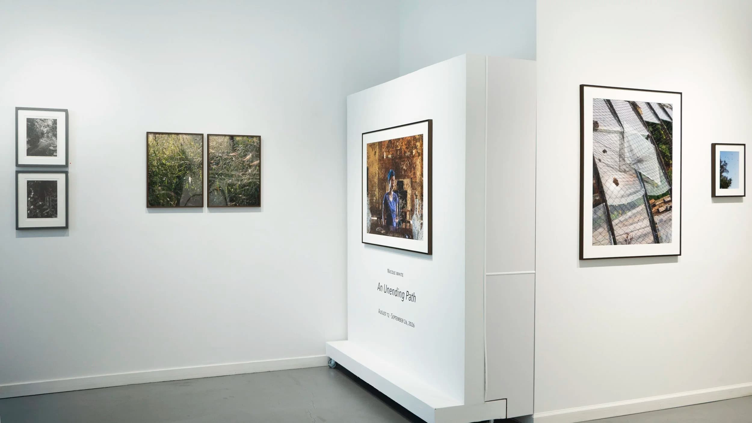 Installation view 1 of 4