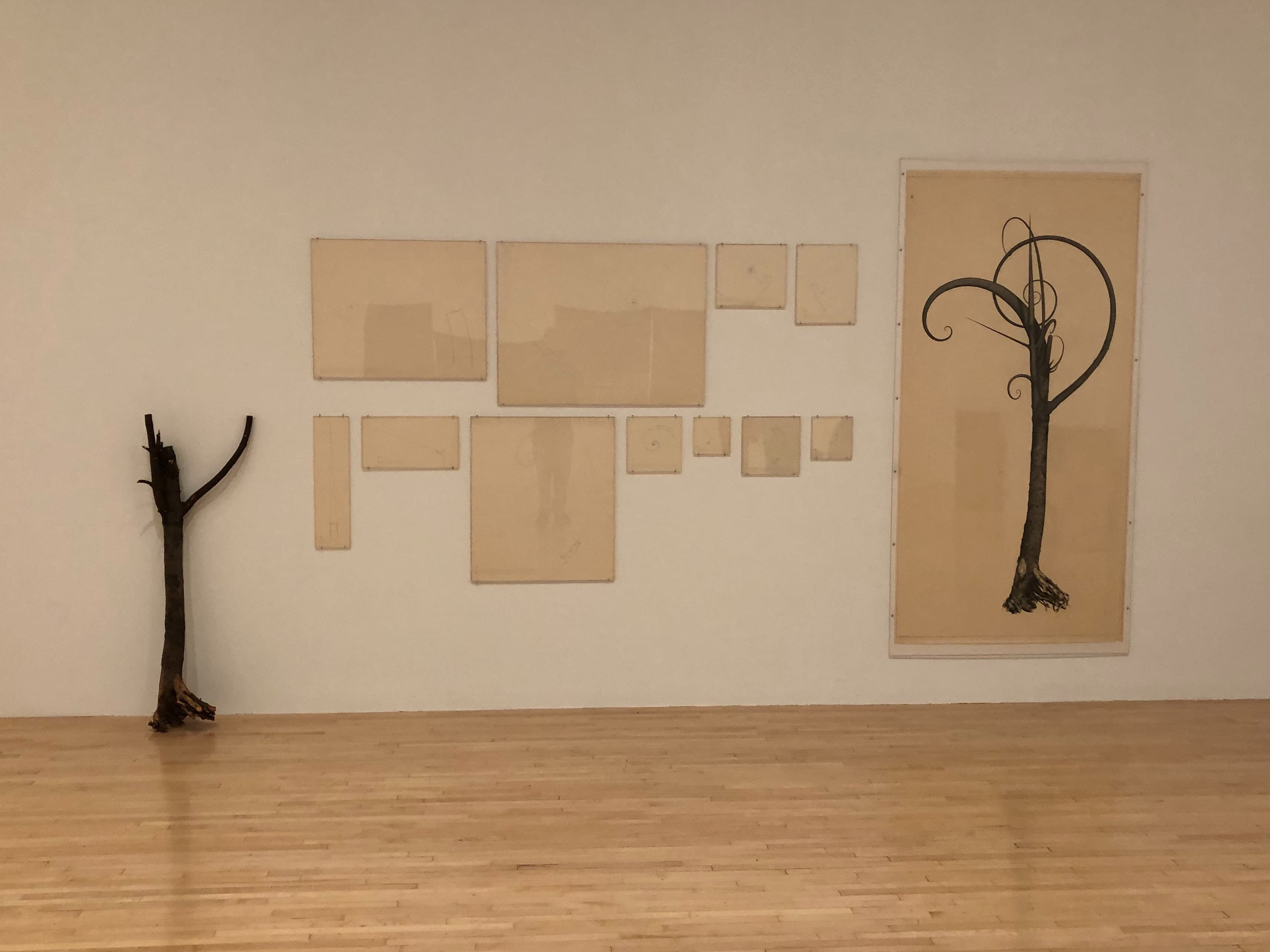Installation view