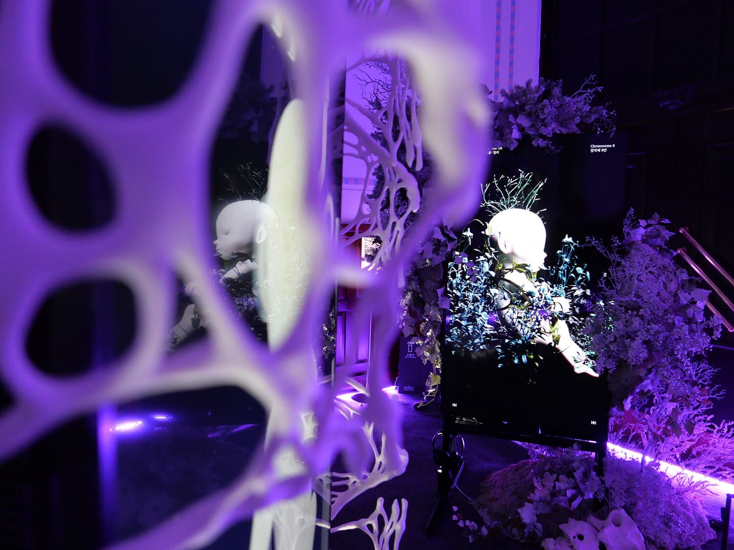 Installation view 1 of 4