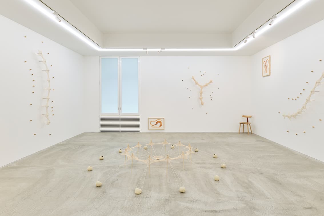 Installation view