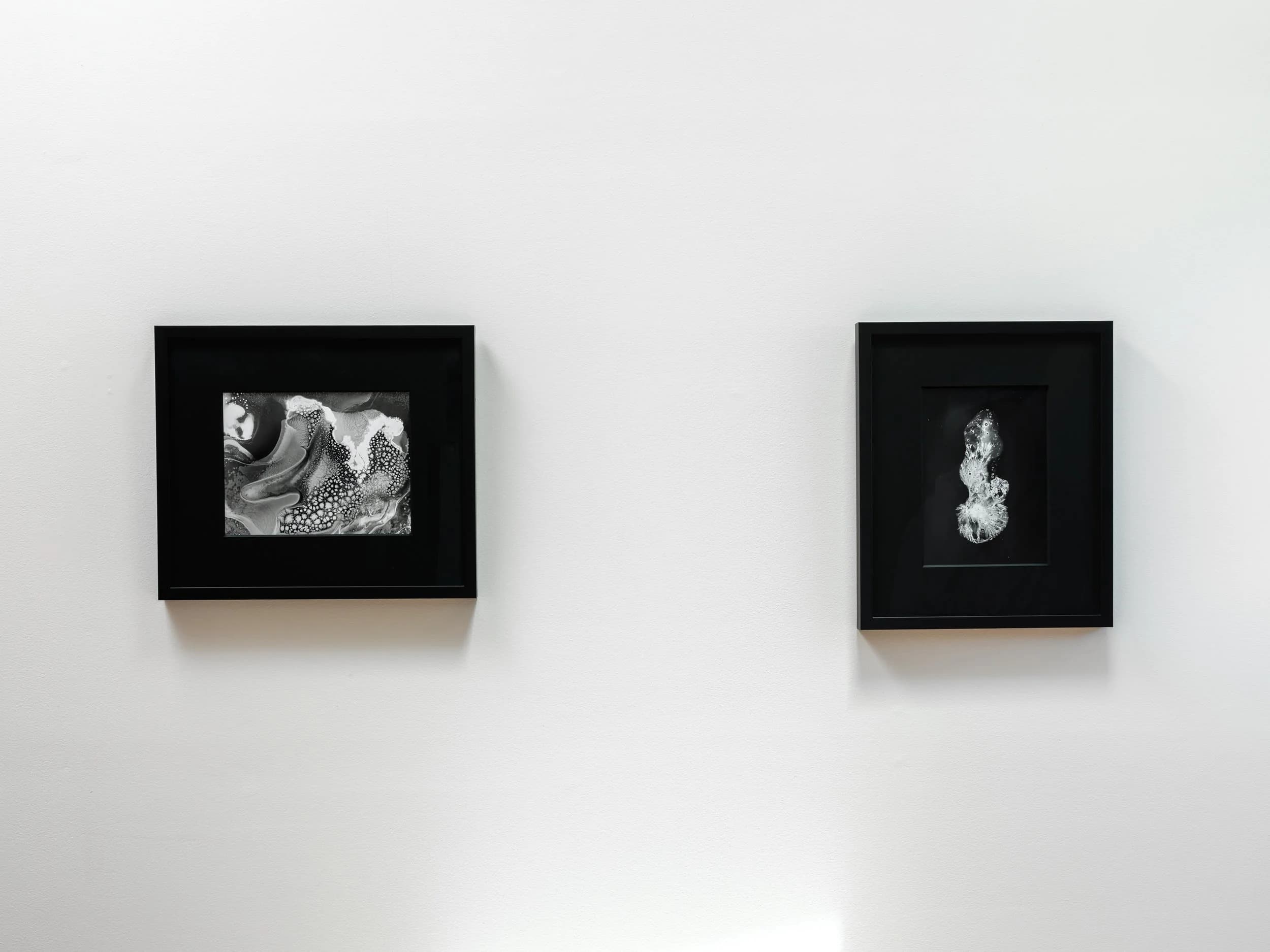Installation view 6 of 7