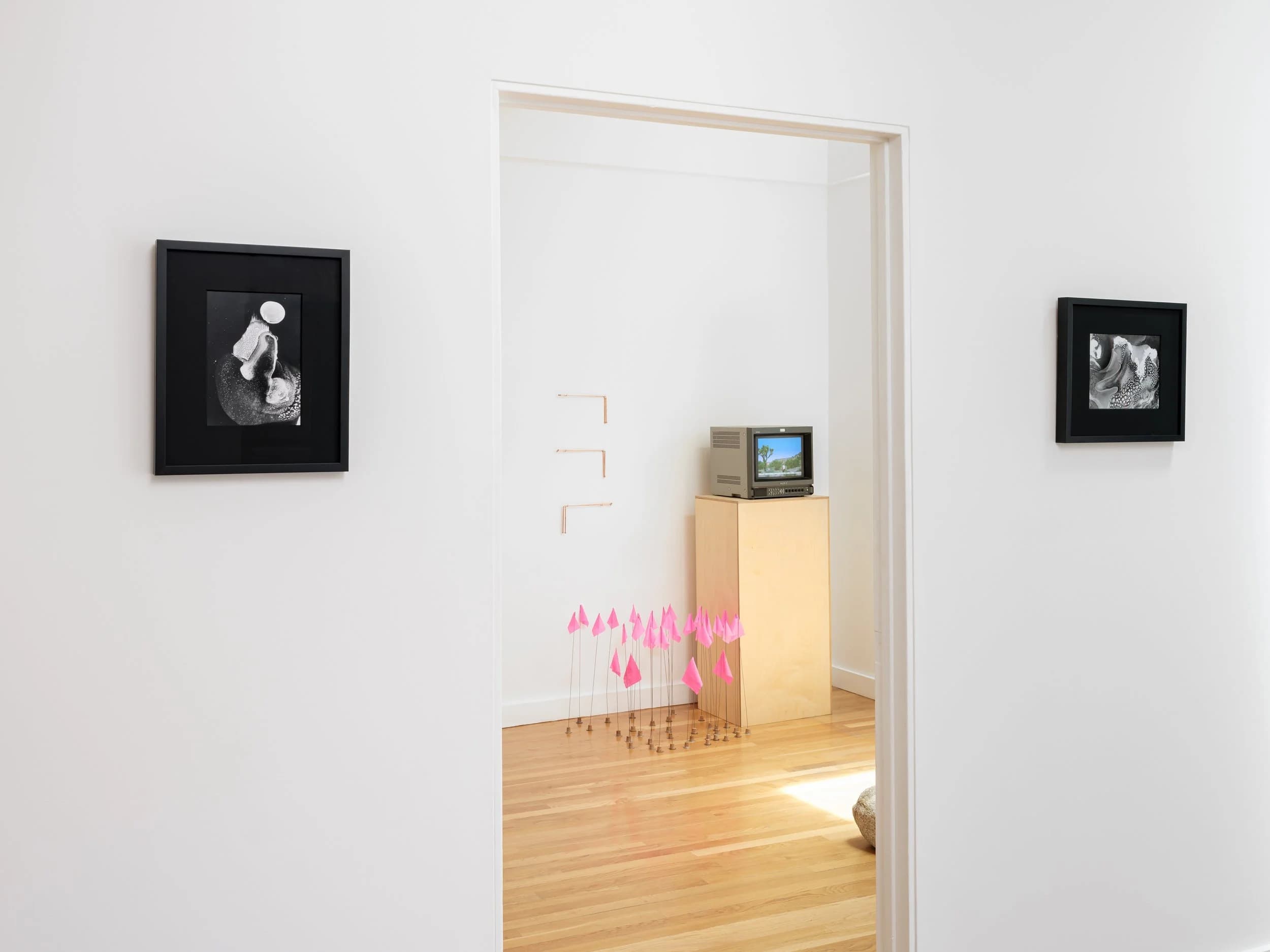 Installation view 2 of 9
