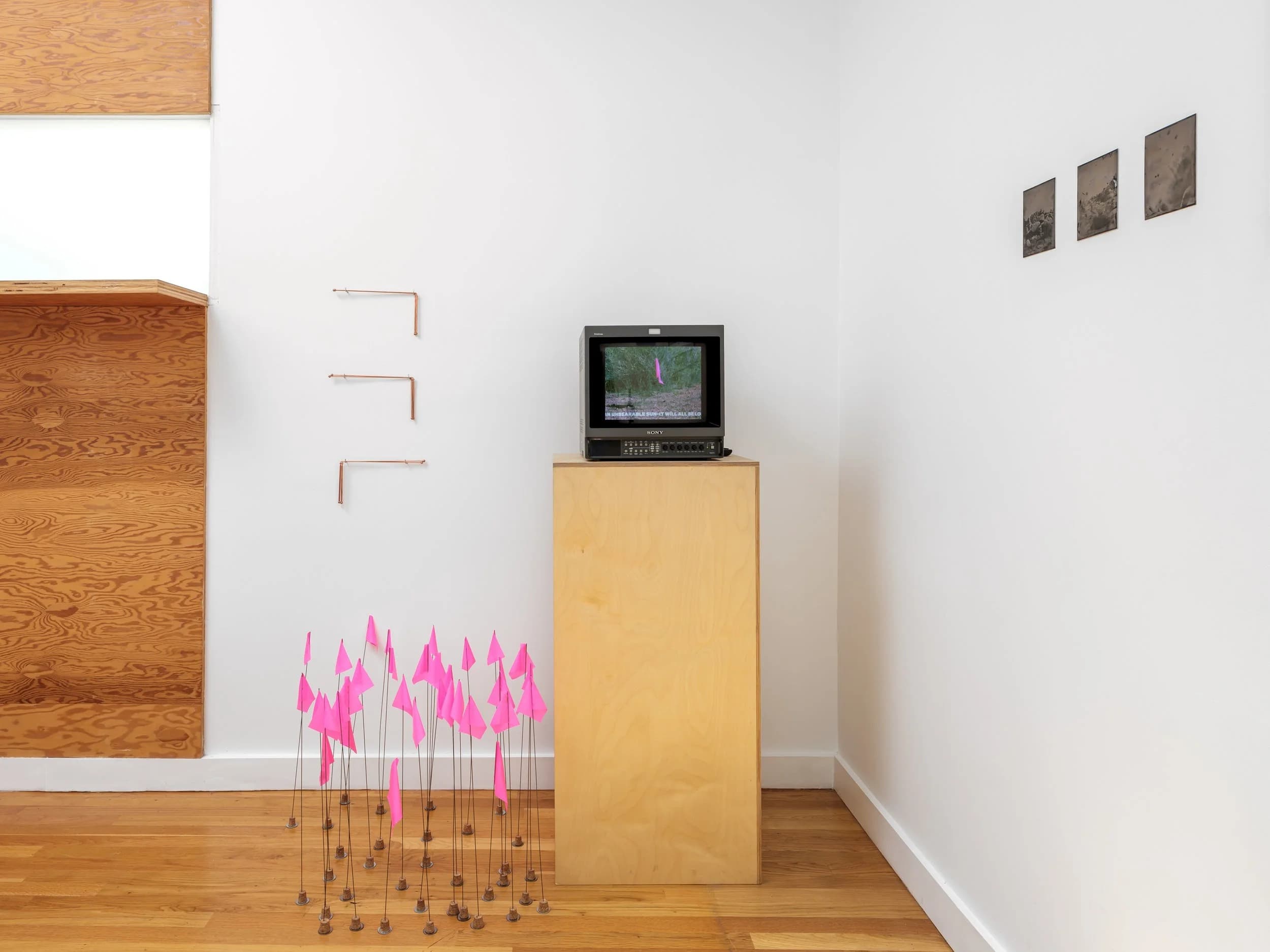 Installation view 4 of 9