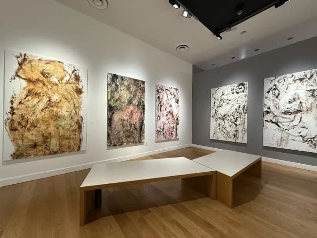 Installation view