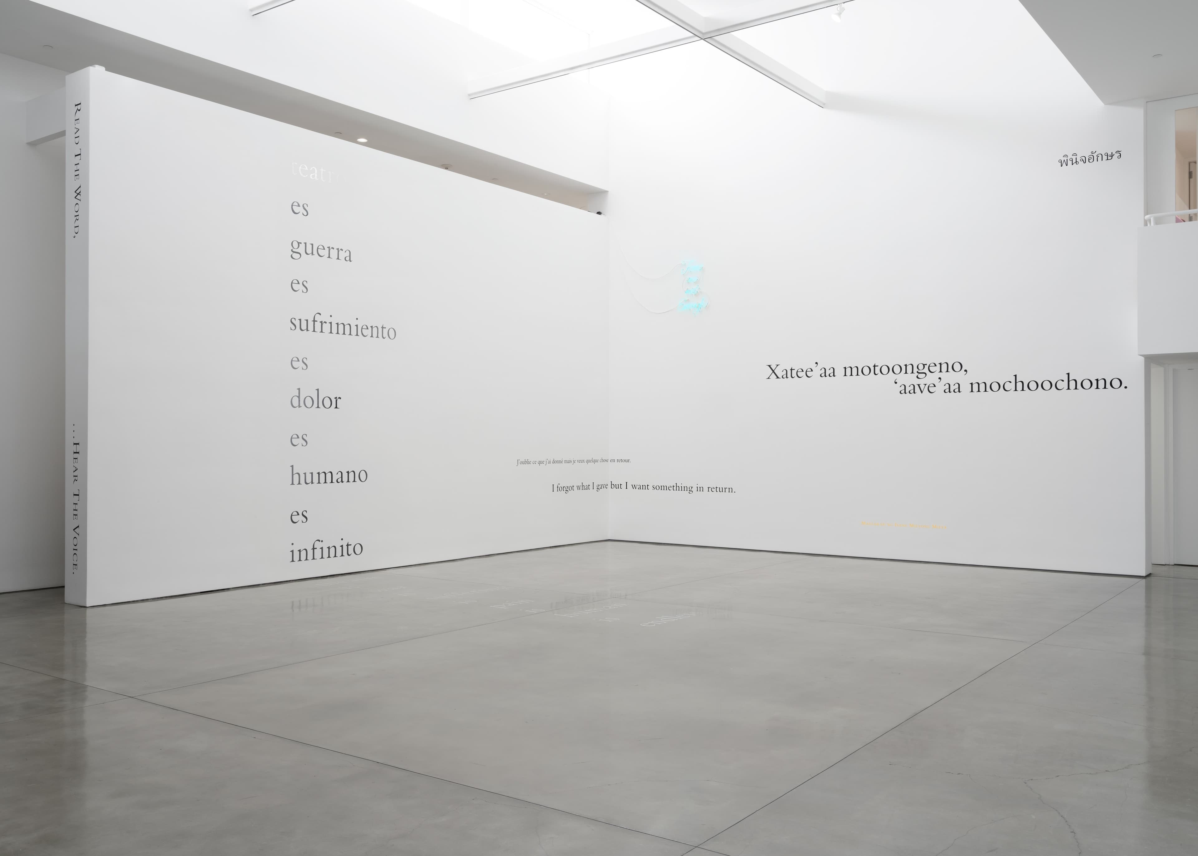 Installation view 5 of 5