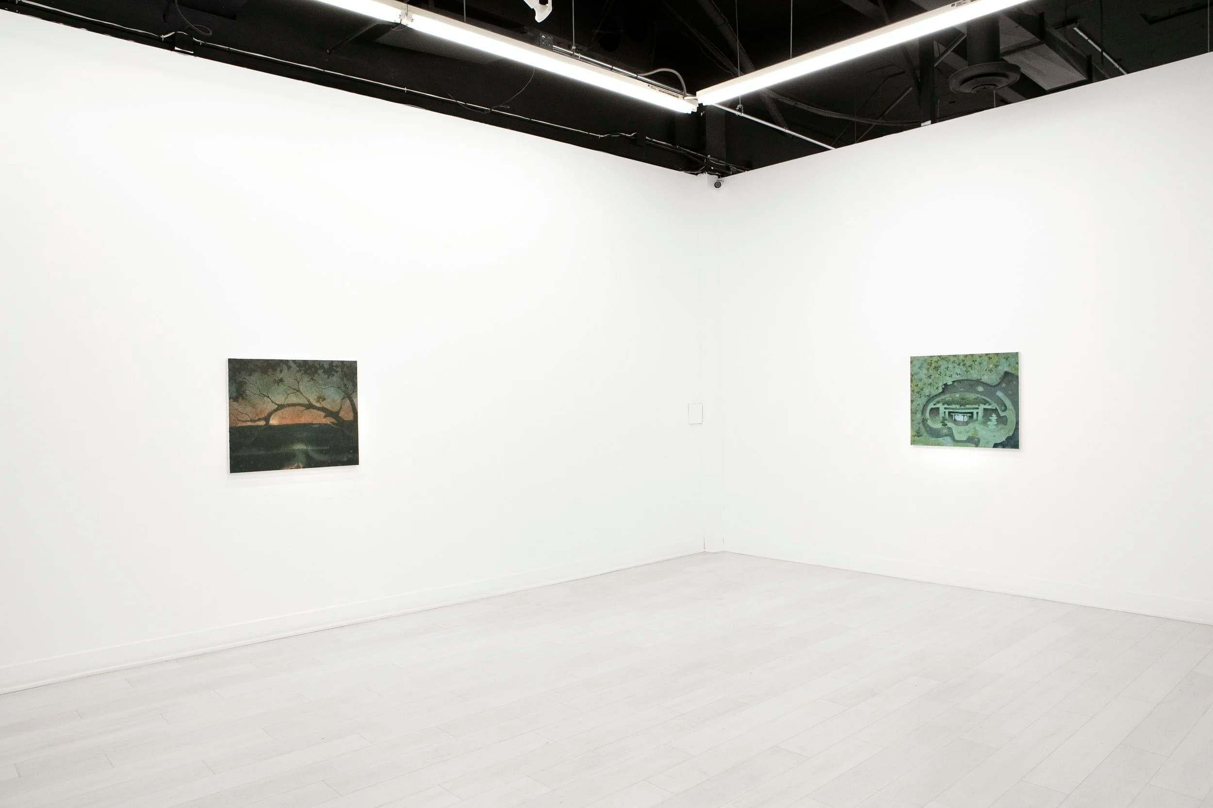 Installation view