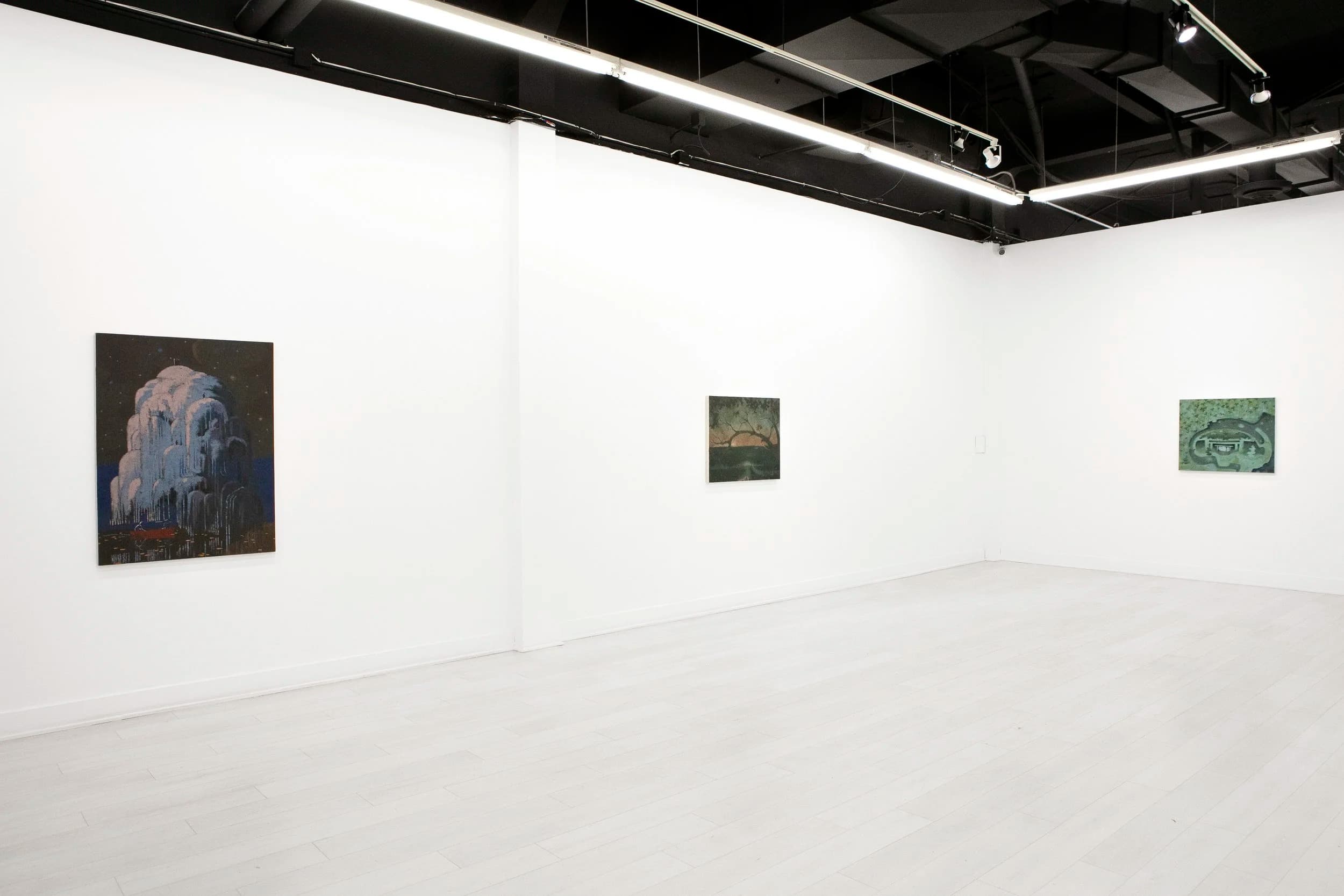Installation view